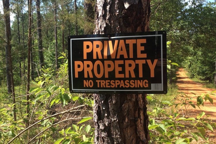 875 Smith Rd Grove Hill, AL 36451, Clarke County