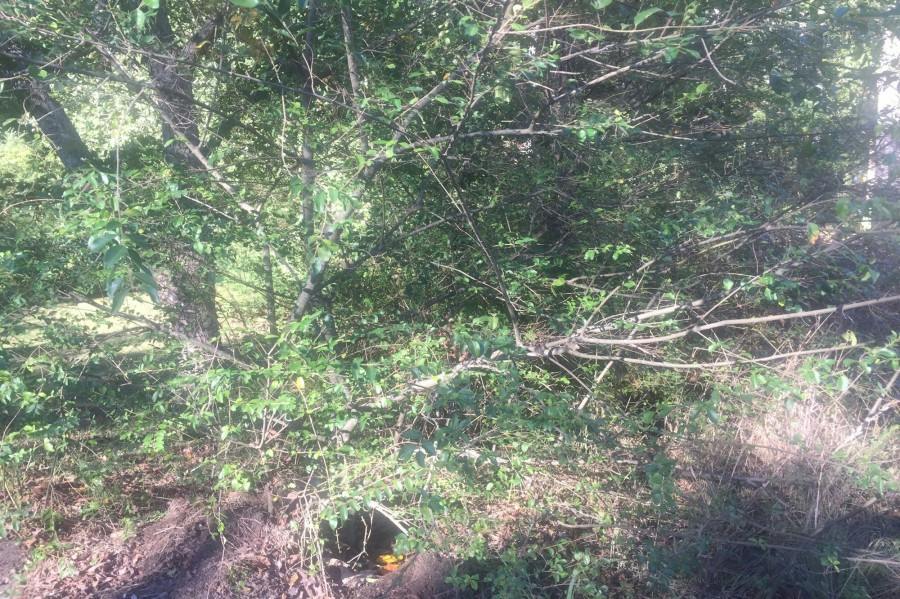 Verner Rd, Lawrenceville, GA 30043