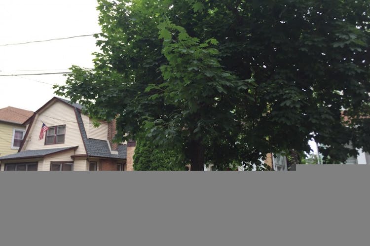 25049 Michele Drive Plainfield, IL 60544, Will County