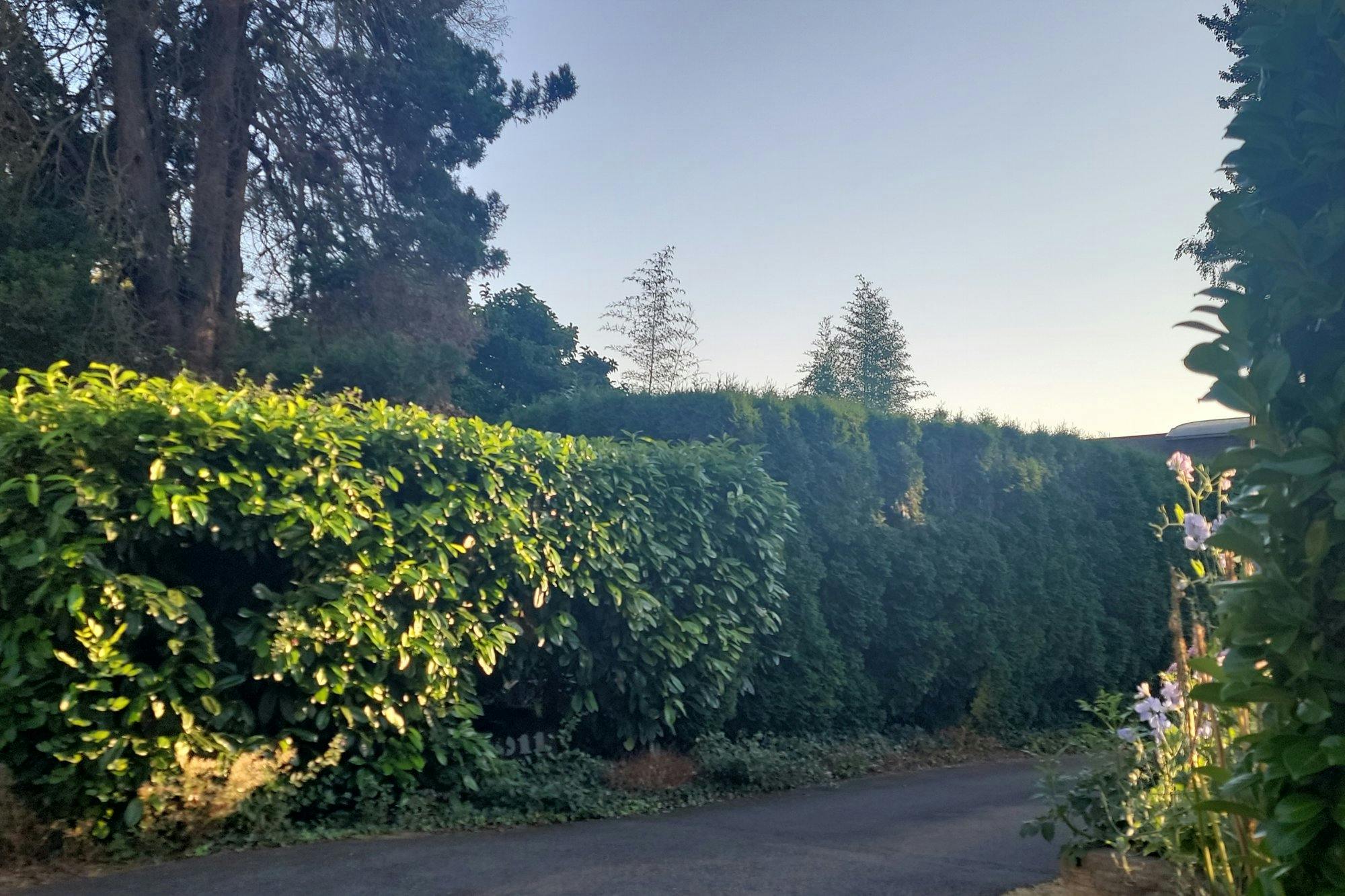 58th Ln, Kenmore, WA 98028 #1