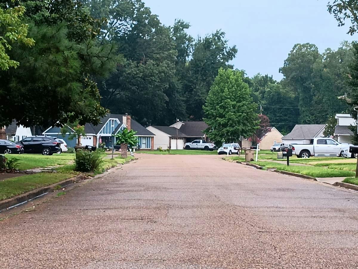 Spring Harbor Dr, Millington, TN 38053 #1