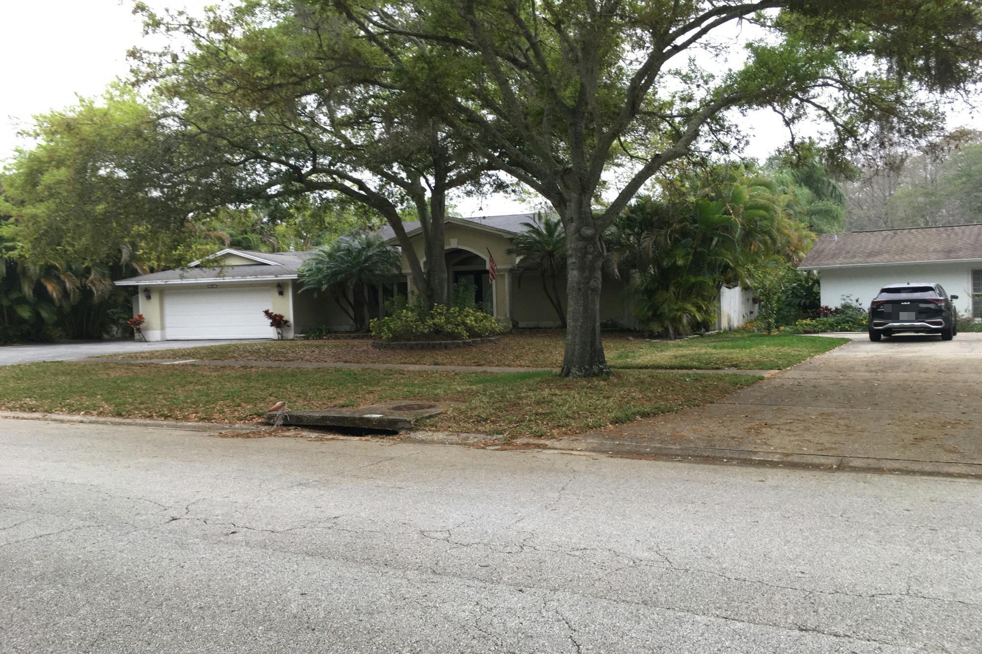 Winding Wood Dr, Clearwater, FL 33761 #1