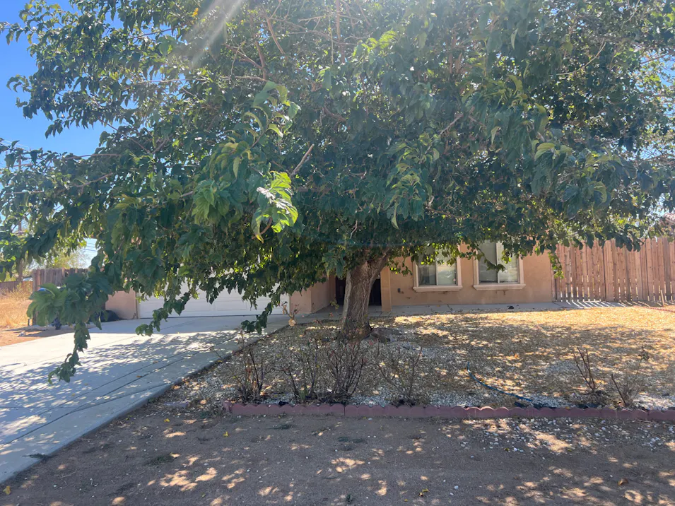 8924 Walpole Ave California City, CA 93505, Kern County