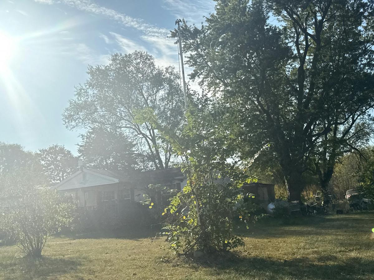 Chestnut St, Brighton, IL 62012
