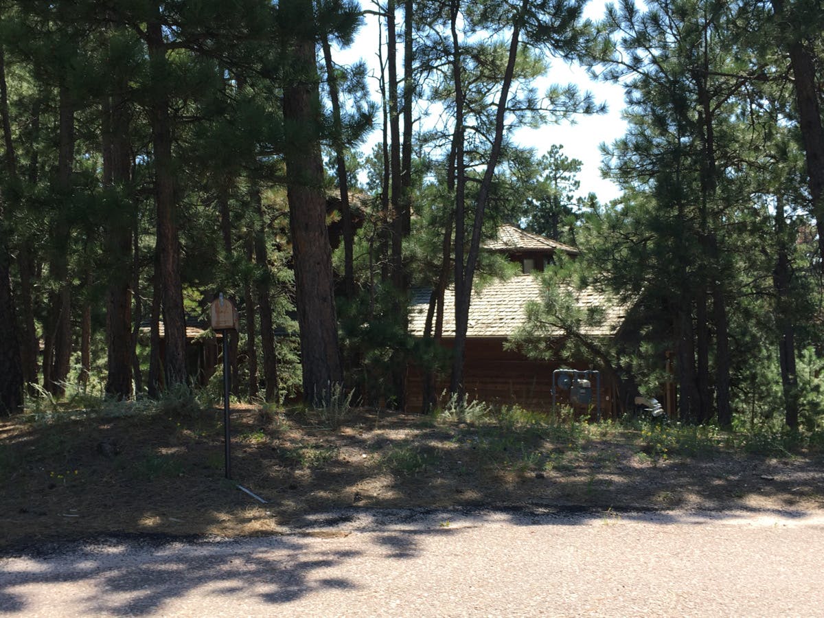 Stag Ln, Monument, CO 80132 #1