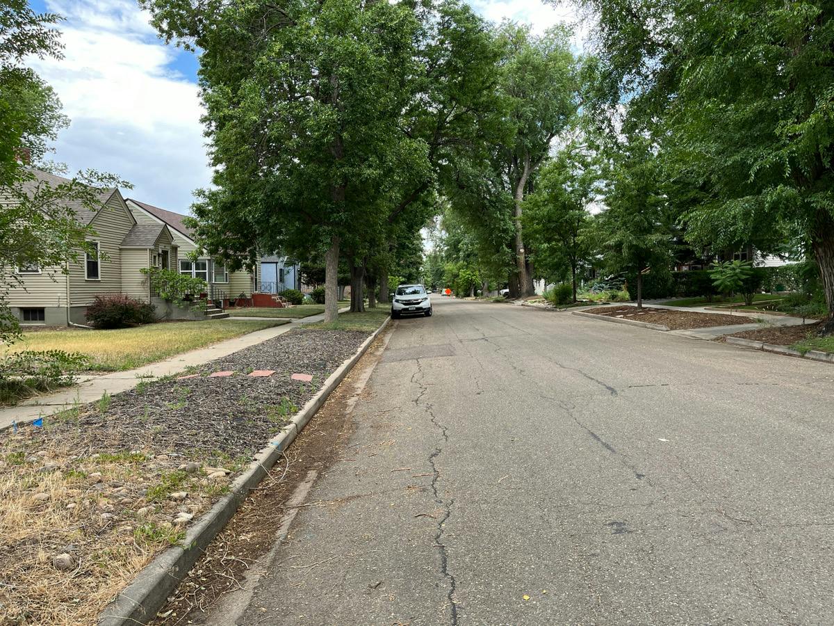 Judson St, Longmont, CO 80501 #1