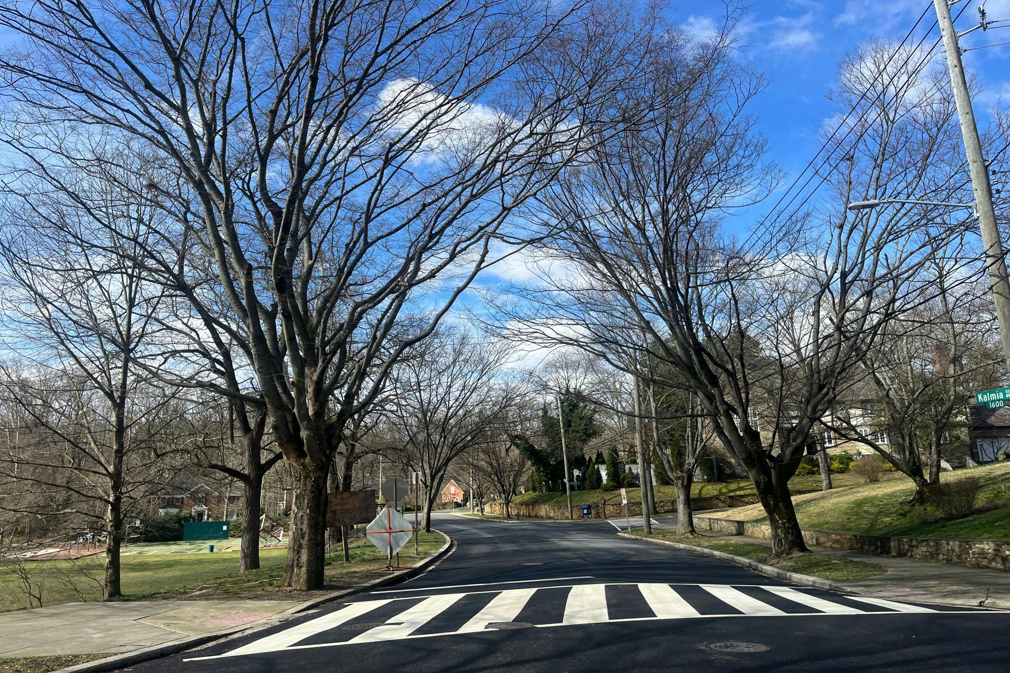 Kalmia Rd, Washington, DC 20012 #1