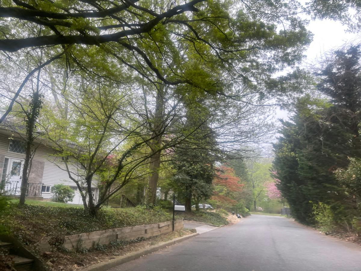 Richardson Ave, Sea Cliff, NY 11579 #1