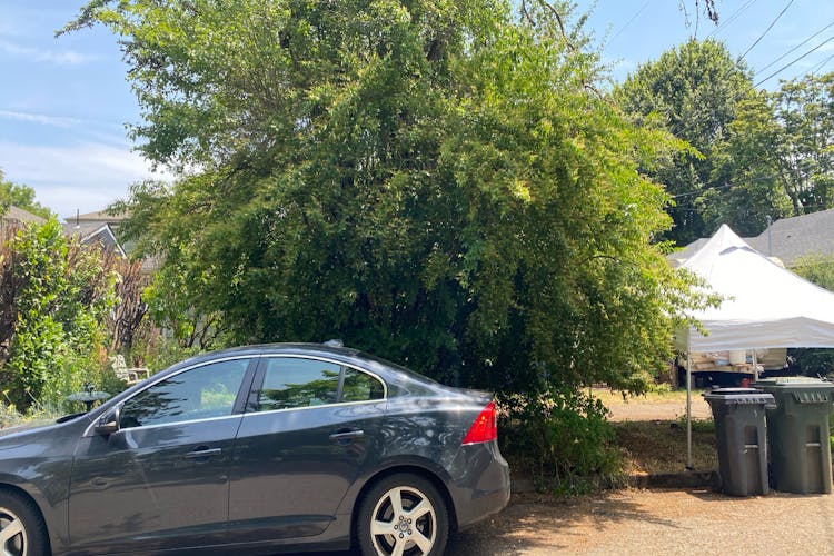 1127 Van Buren Street Eugene, OR 97402, Lane County