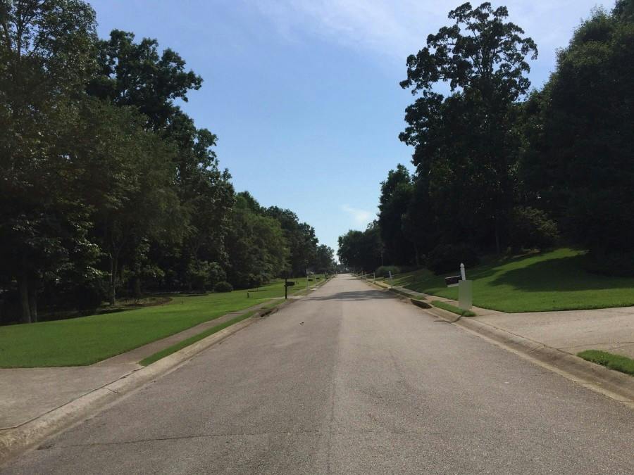 Newberry Point Dr, Flowery Branch, GA 30542