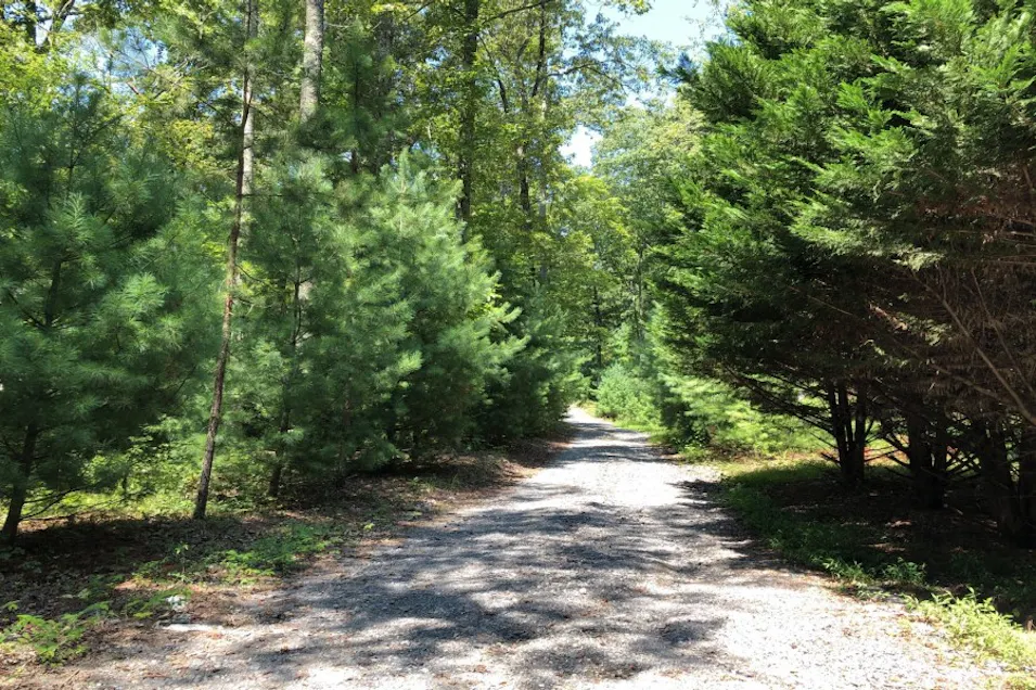 695 Van Davis Rd. NW Georgetown, TN 37336, Bradley County