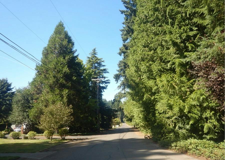 Rose Ln, Wilsonville, OR 97070 #1