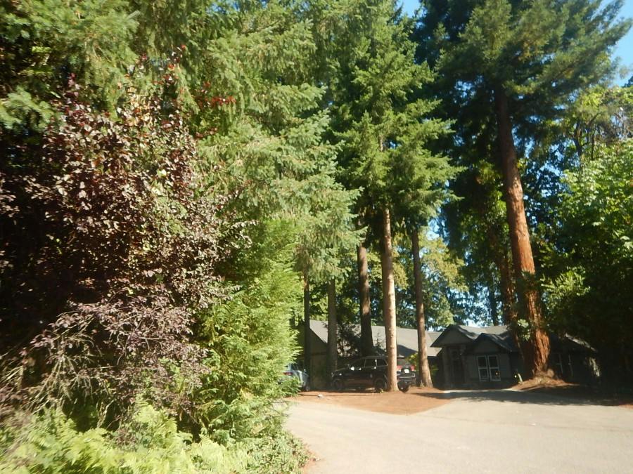 Rose Ln, Wilsonville, OR 97070