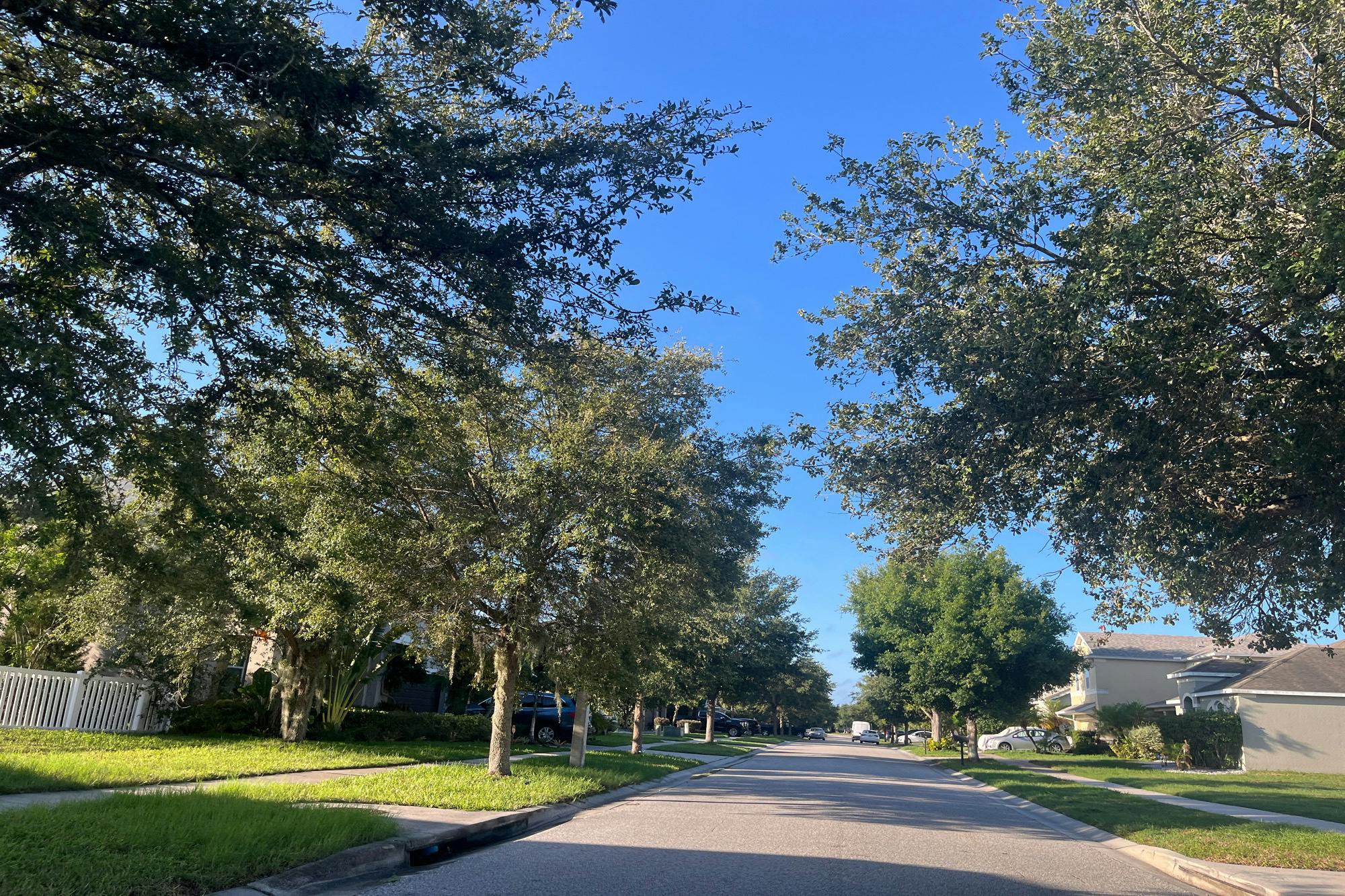 Tangle Creek Blvd, Gibsonton, FL 33534 #1