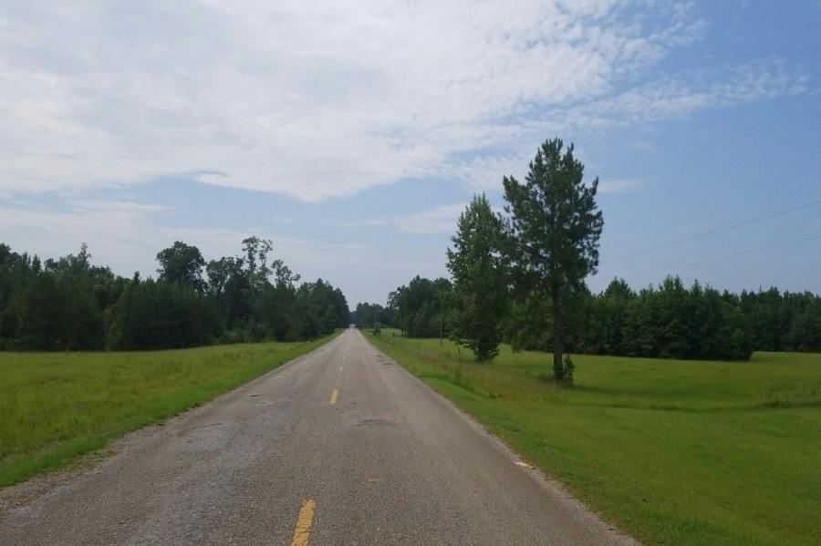 Stinson Rd, Georgiana, AL 36033
