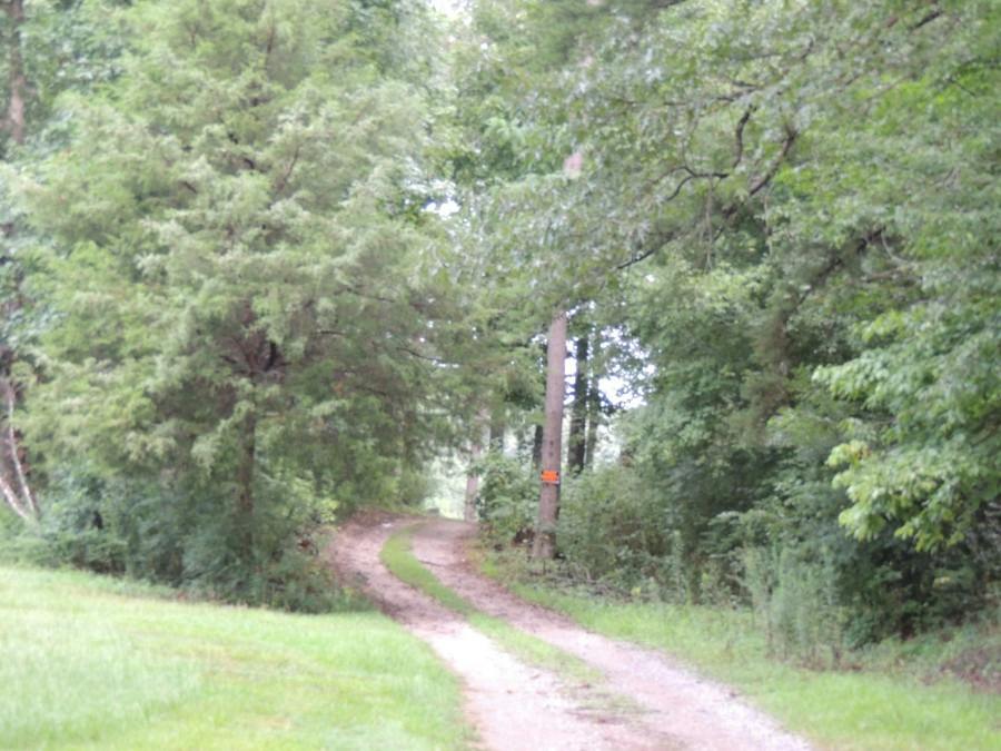 Kings Dr, Adamsville, AL 35005