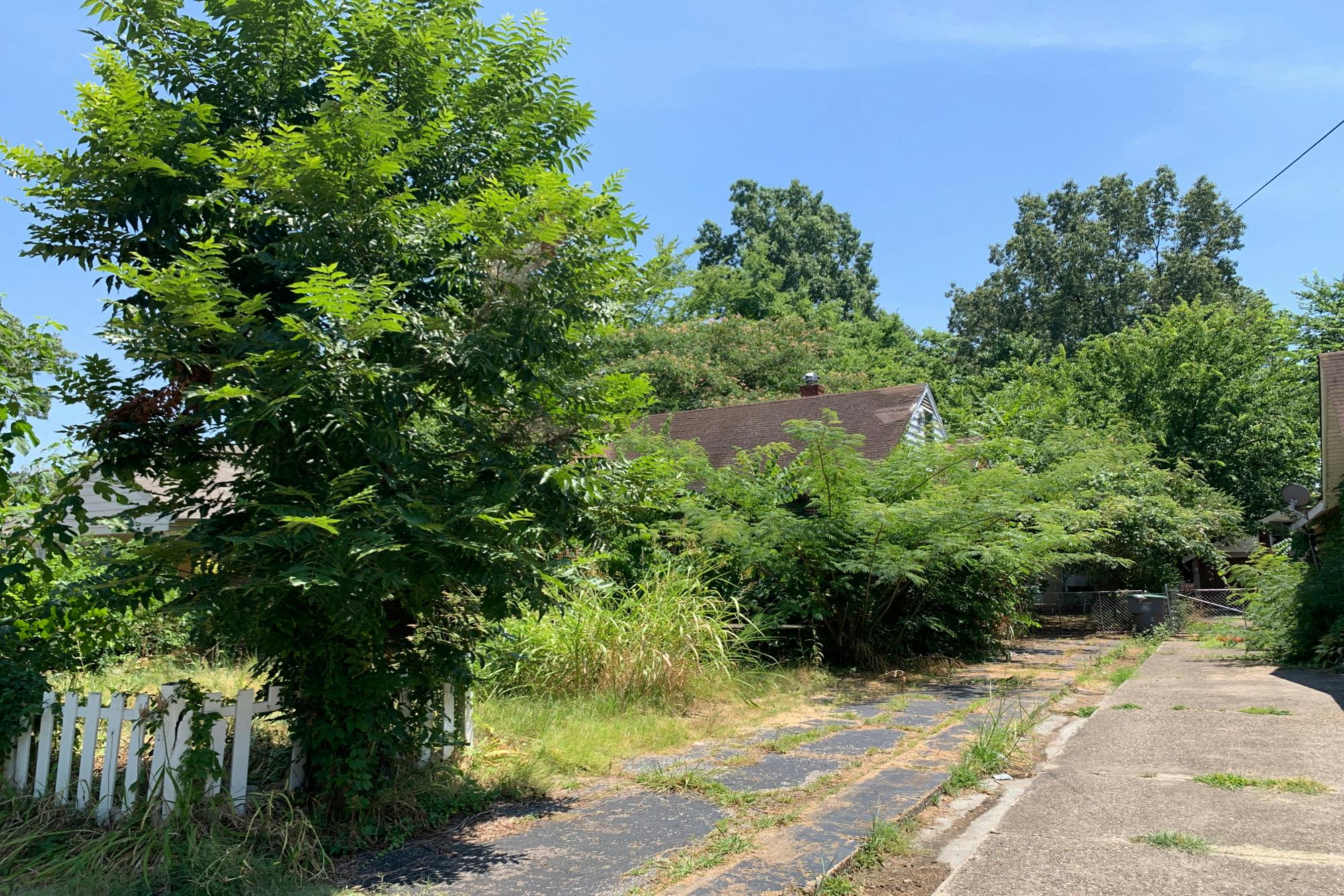 Faxon Ave, Memphis, TN 38122 #1
