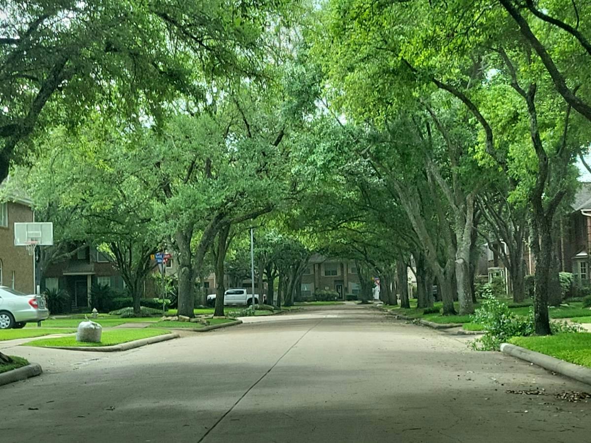 Autumn Lks, Missouri City, TX 77459 #1