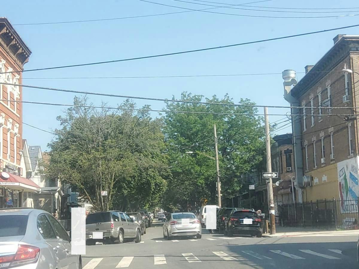Chestnut St, Brooklyn, NY 11208