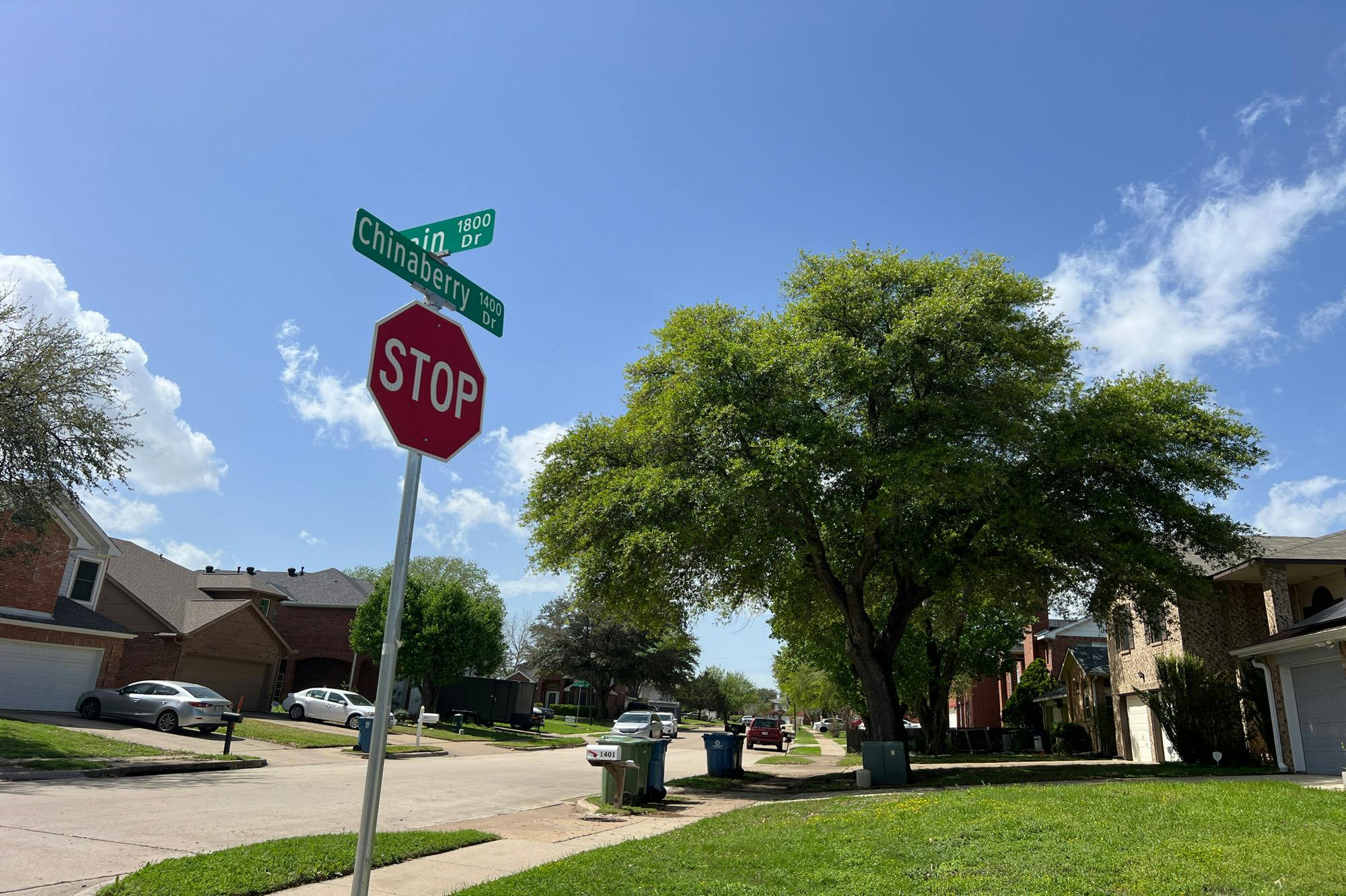 Chinaberry Dr, Lewisville, TX 75077 #1