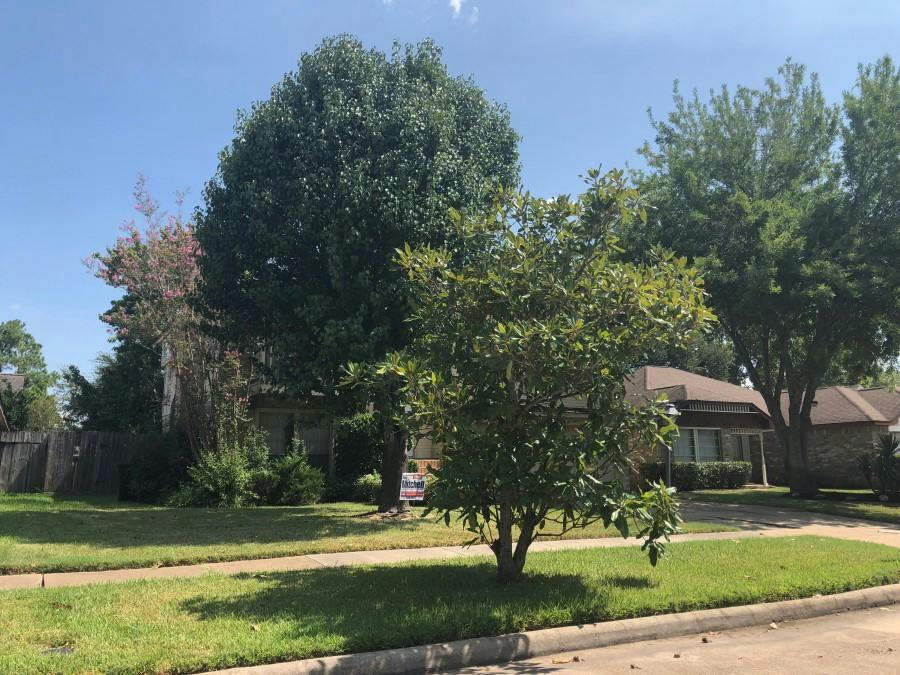 Winchester Way, Sugar Land, TX 77479