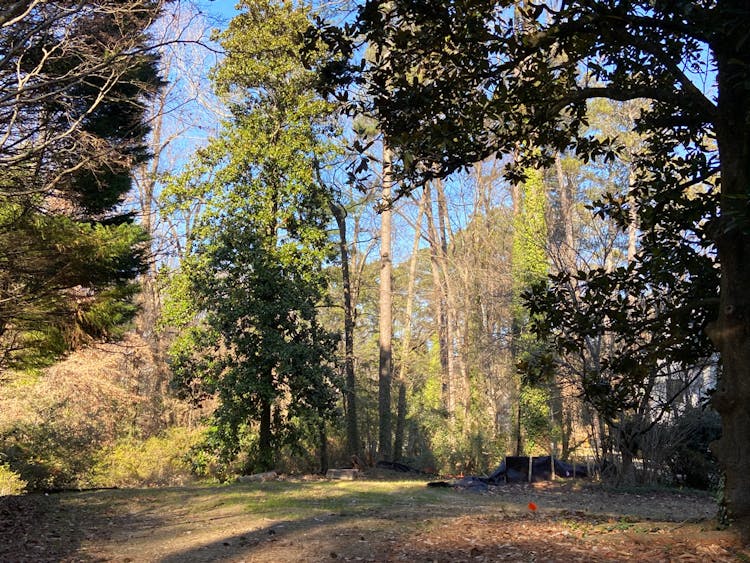 386 Allison Dr NE, Atlanta, GA, 30342, USA