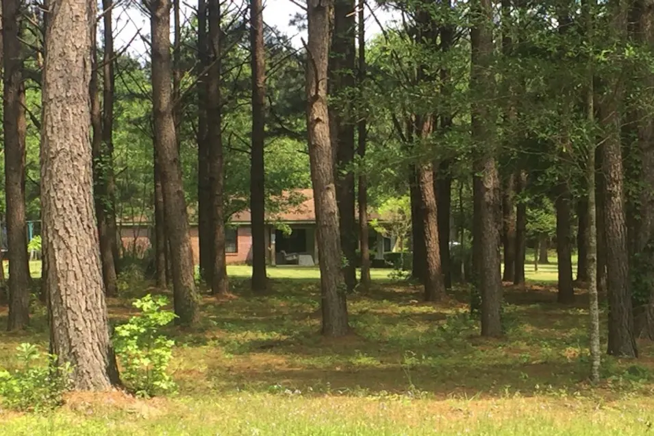 140 John Evans Rd Petal, MS 39465, Forrest County
