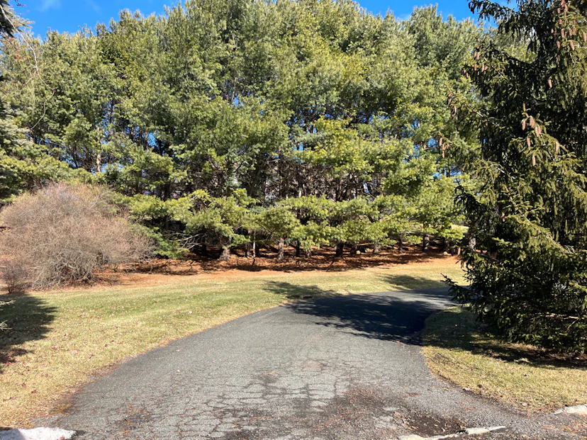 6 Trout Brook Court