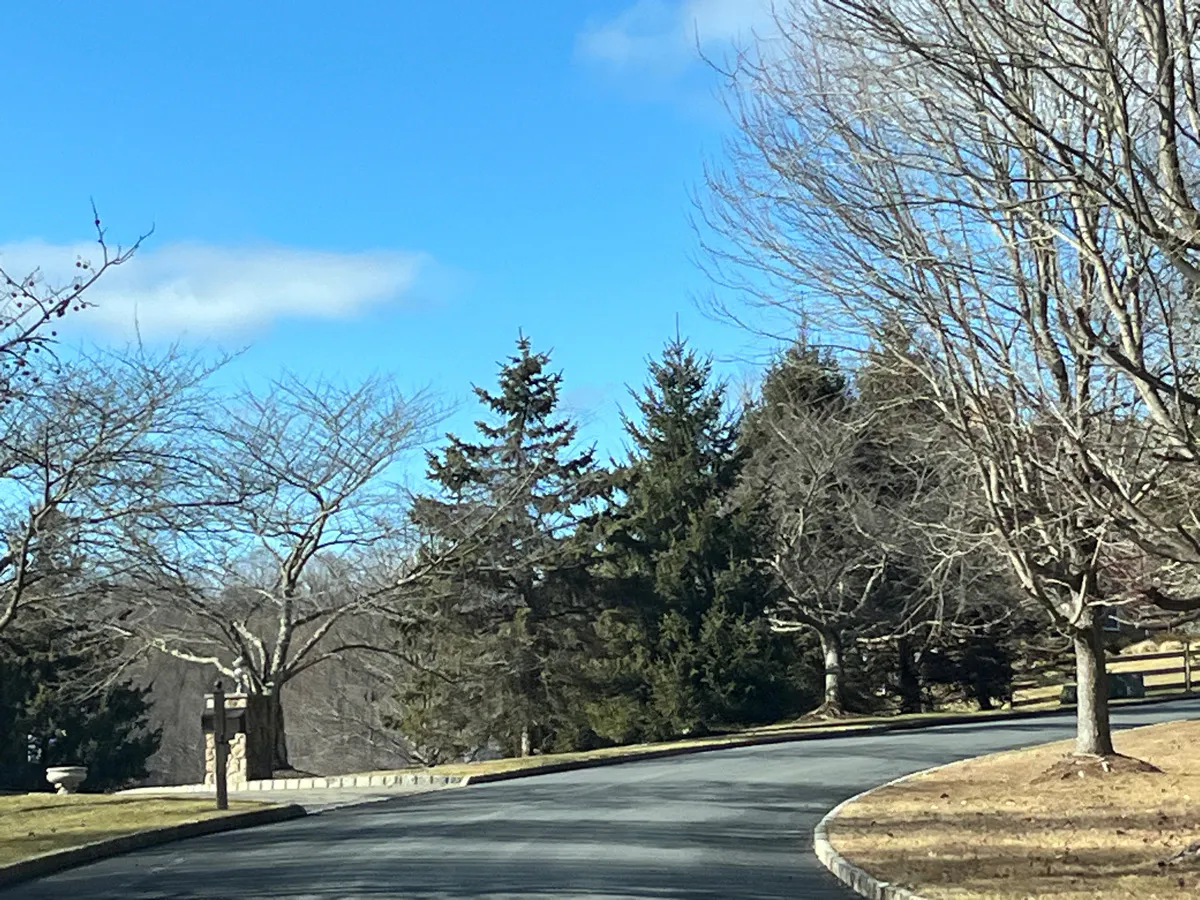 Trout Brook Ct, Chester, NJ 07930 #1