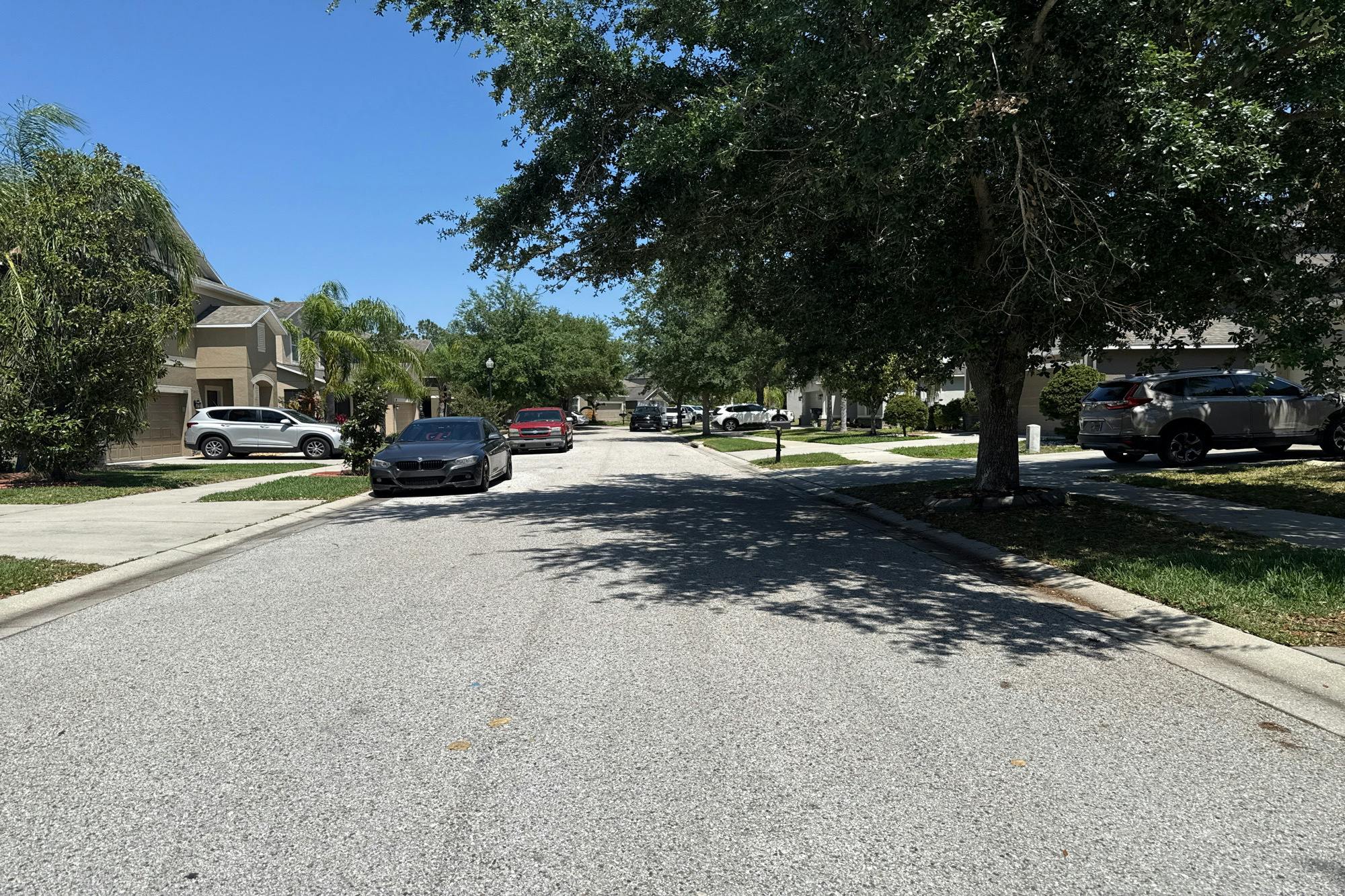 Royal Pines Ave, Riverview, FL 33579
