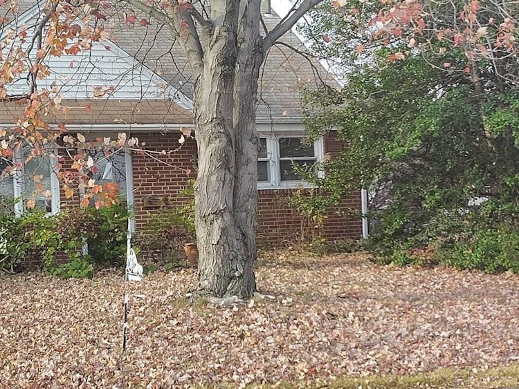 532 Lindsay Street Ridley Park, PA 19078, Delaware County