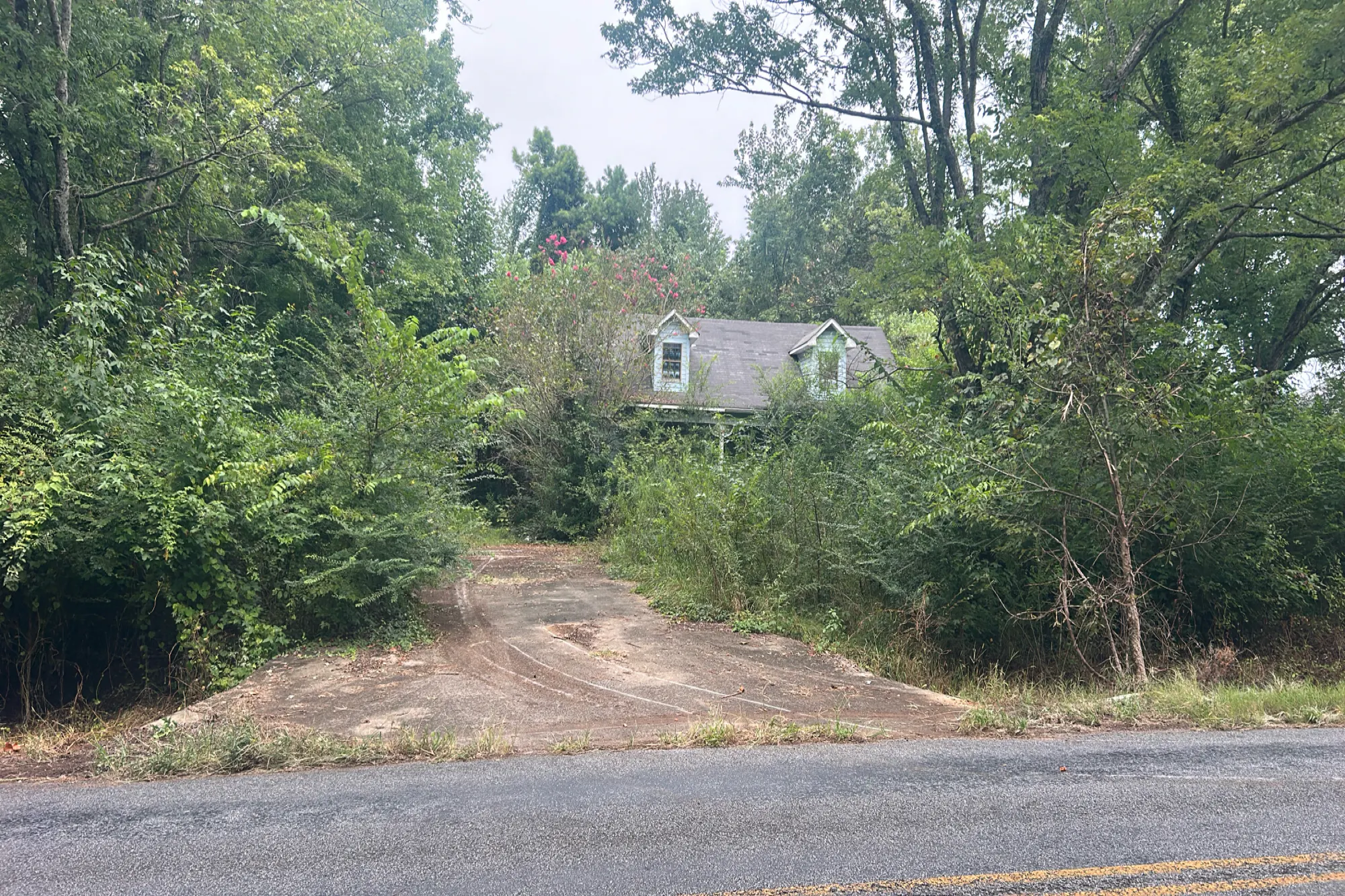 Witty Mill Rd, Elkmont, AL 35620