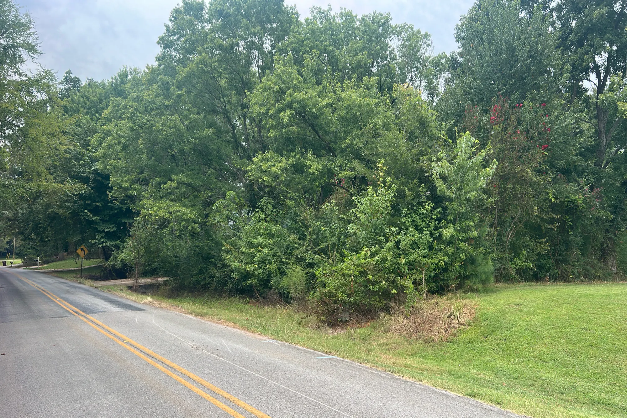 Witty Mill Rd, Elkmont, AL 35620 #1