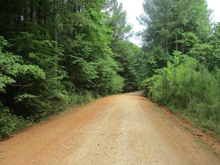 11497 County Road 62, Wadley, AL, 36276, USA