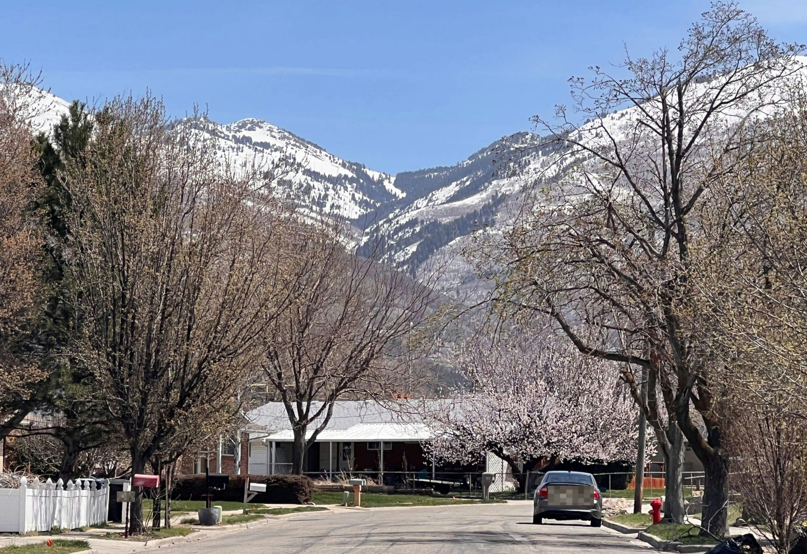 770 , Woods Cross, UT 84087