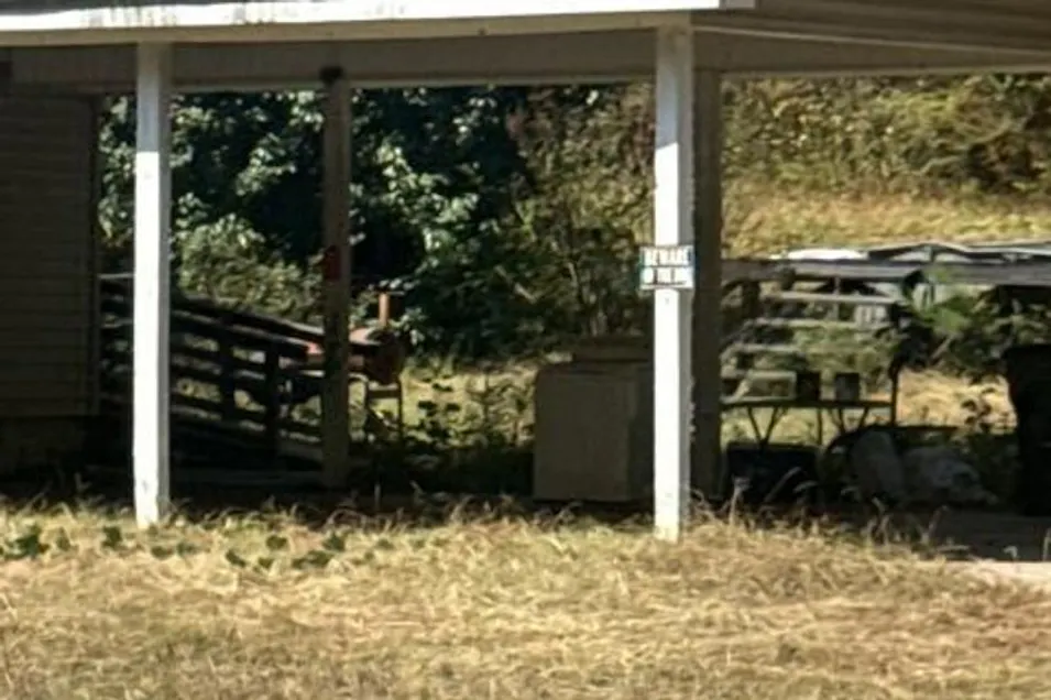 63467 Hwy 22 Roanoke, AL 36274, Randolph County