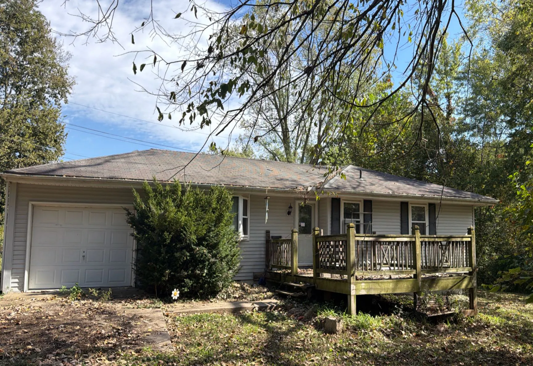 Holtz St, Excelsior Springs, MO 64024 #1