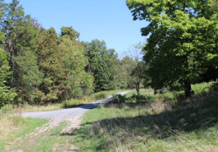 116 Cauterskill Ave Catskill, NY 12414, Greene County