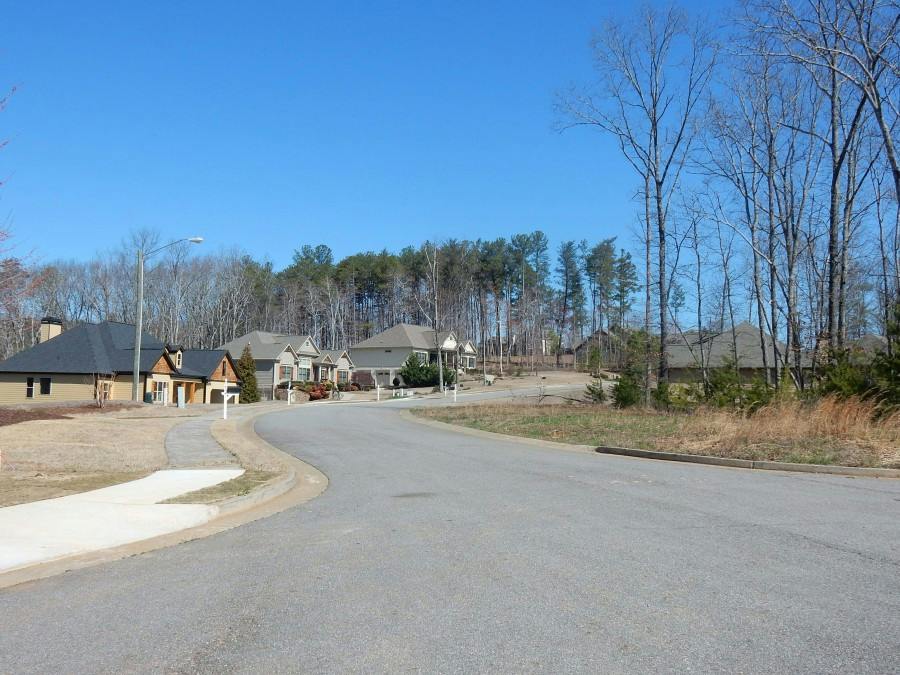 Black Hawk Ln, Canton, GA 30114 #1