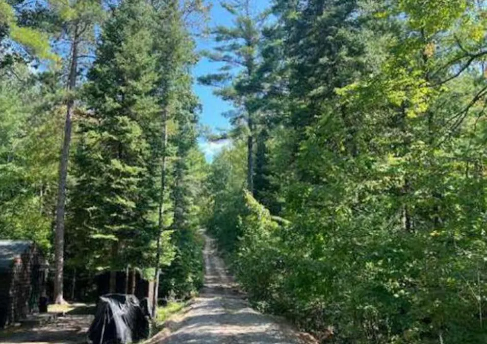 1283 Cauchy Rd Mio, MI 48647, Oscoda County