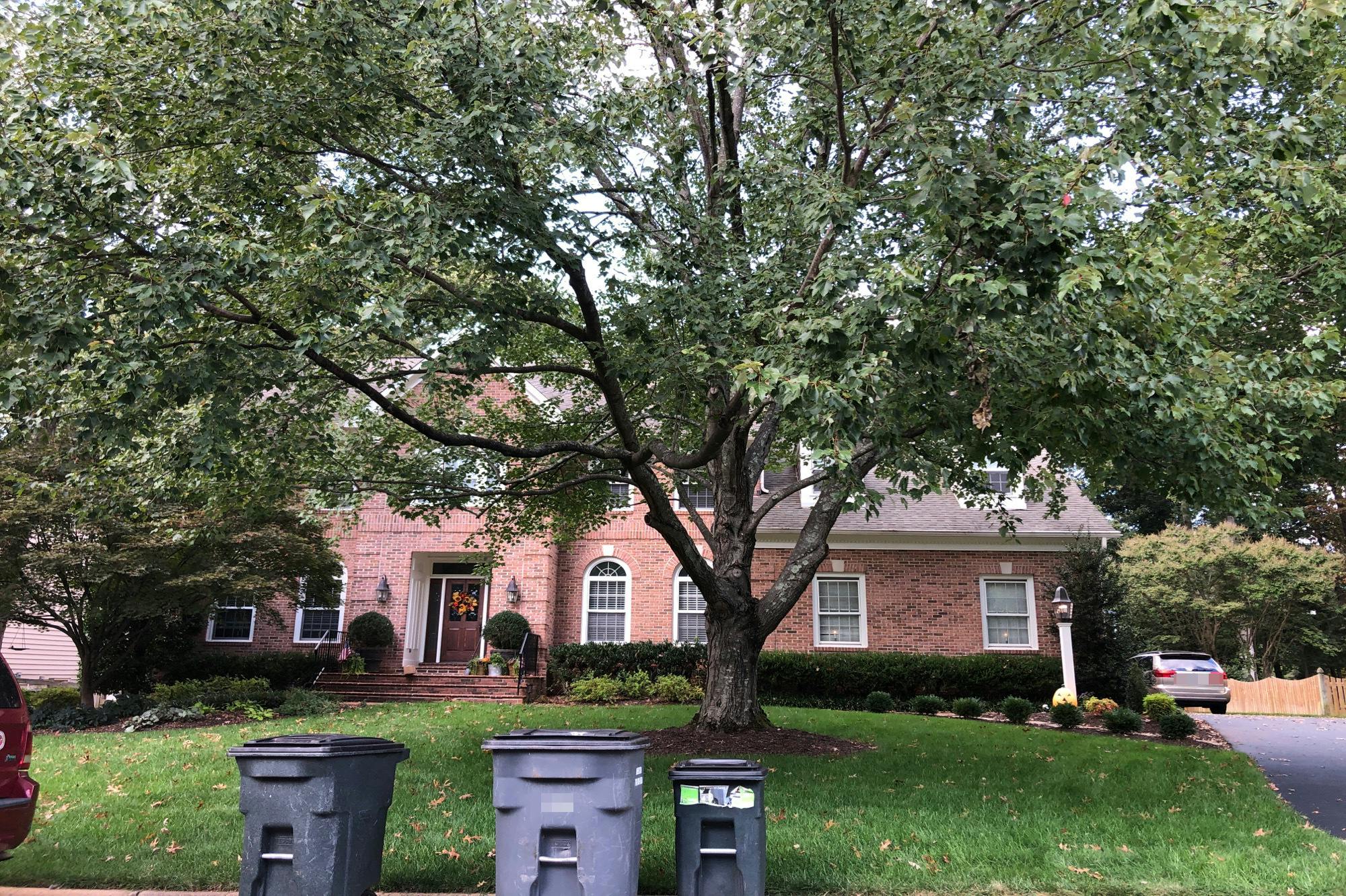 Willow Glen Dr, Herndon, VA 20171 #1