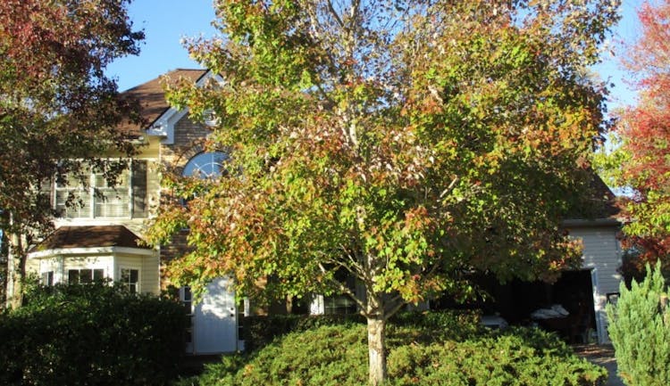 458 Canady Court Hampton, GA 30228, Clayton County