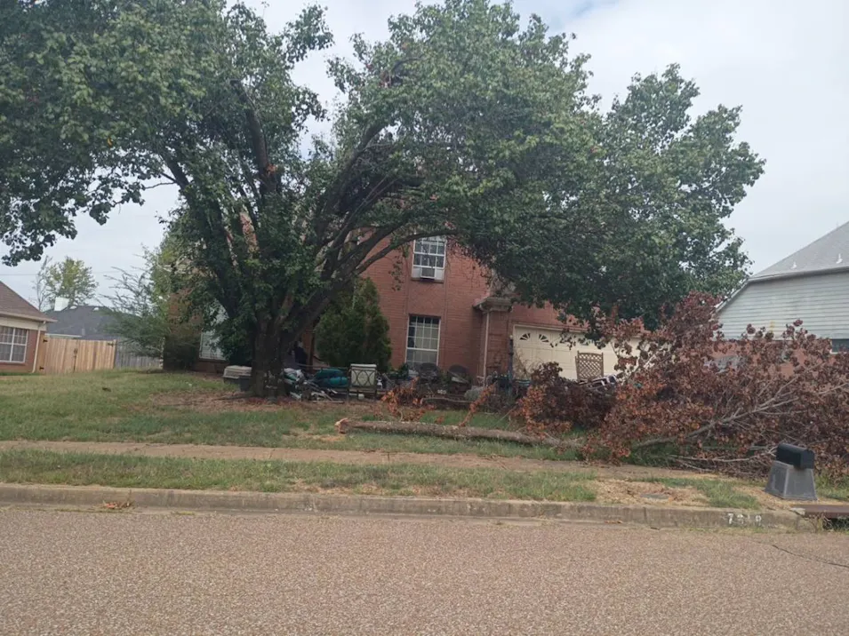 7618 Parkmont Dr Memphis, TN 38125, Shelby County
