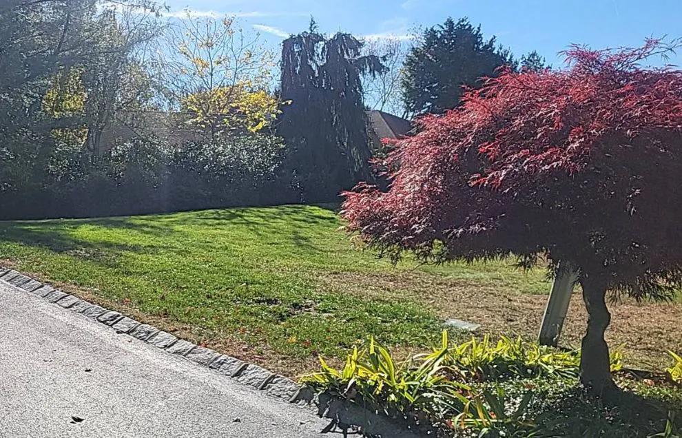 Longview Dr, Holmdel, NJ 07733 #1