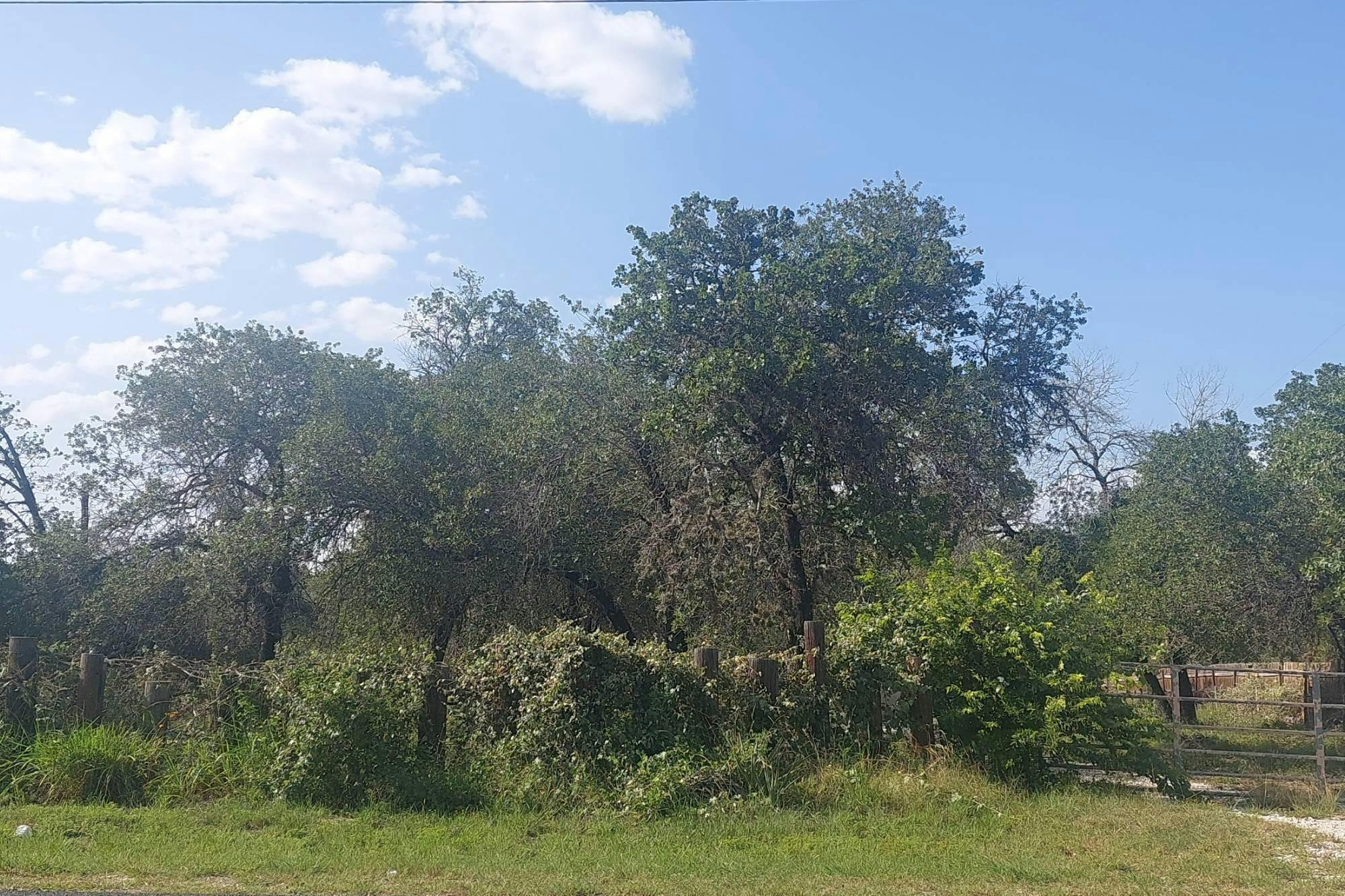 Peaceful Ln, San Antonio, TX 78264
