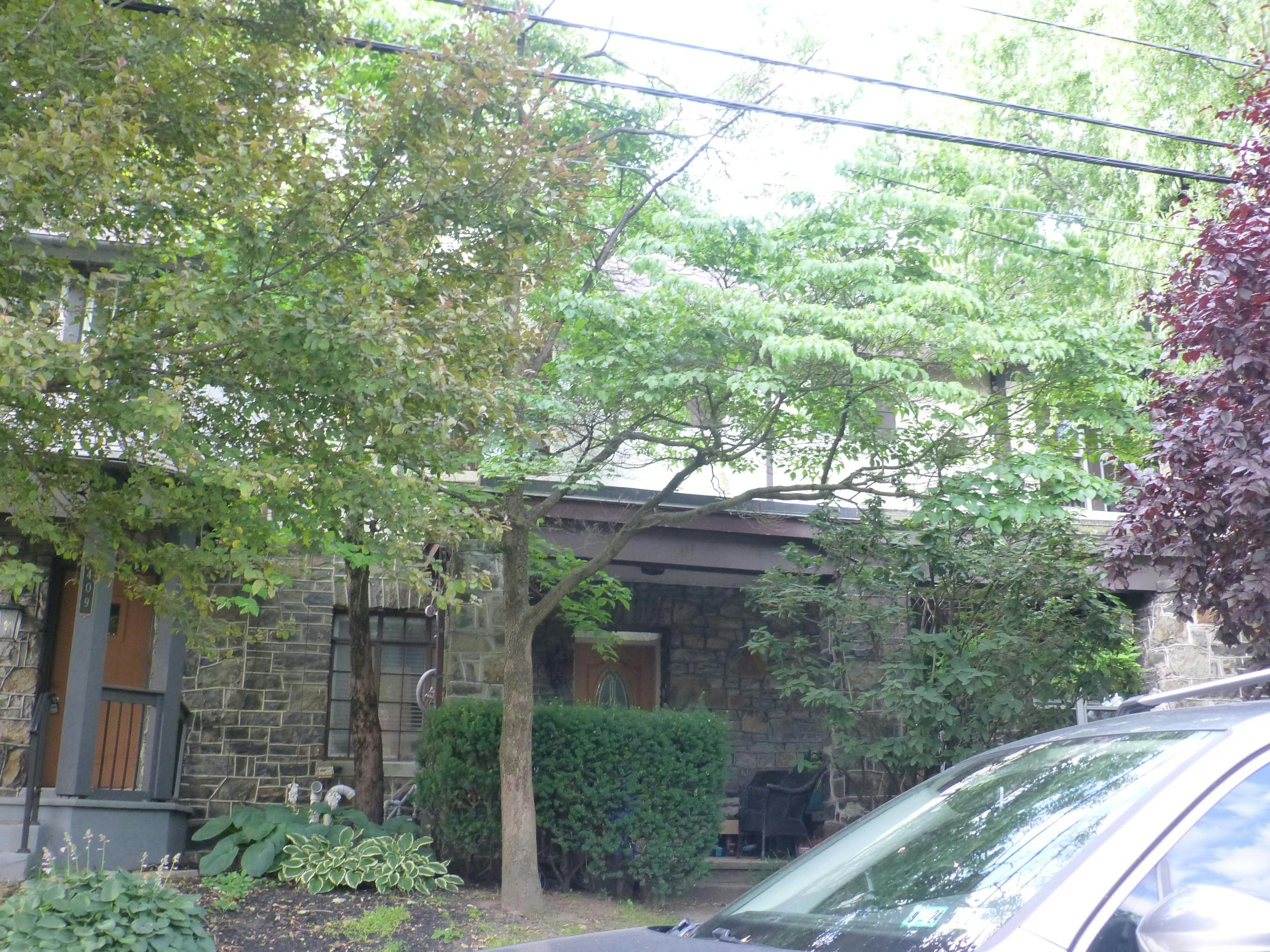 Wiconisco St, Harrisburg, PA 17110 #1