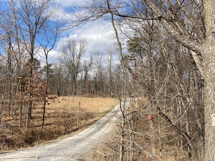 4045 Ridge Road Timberville, VA 22853, Rockingham County