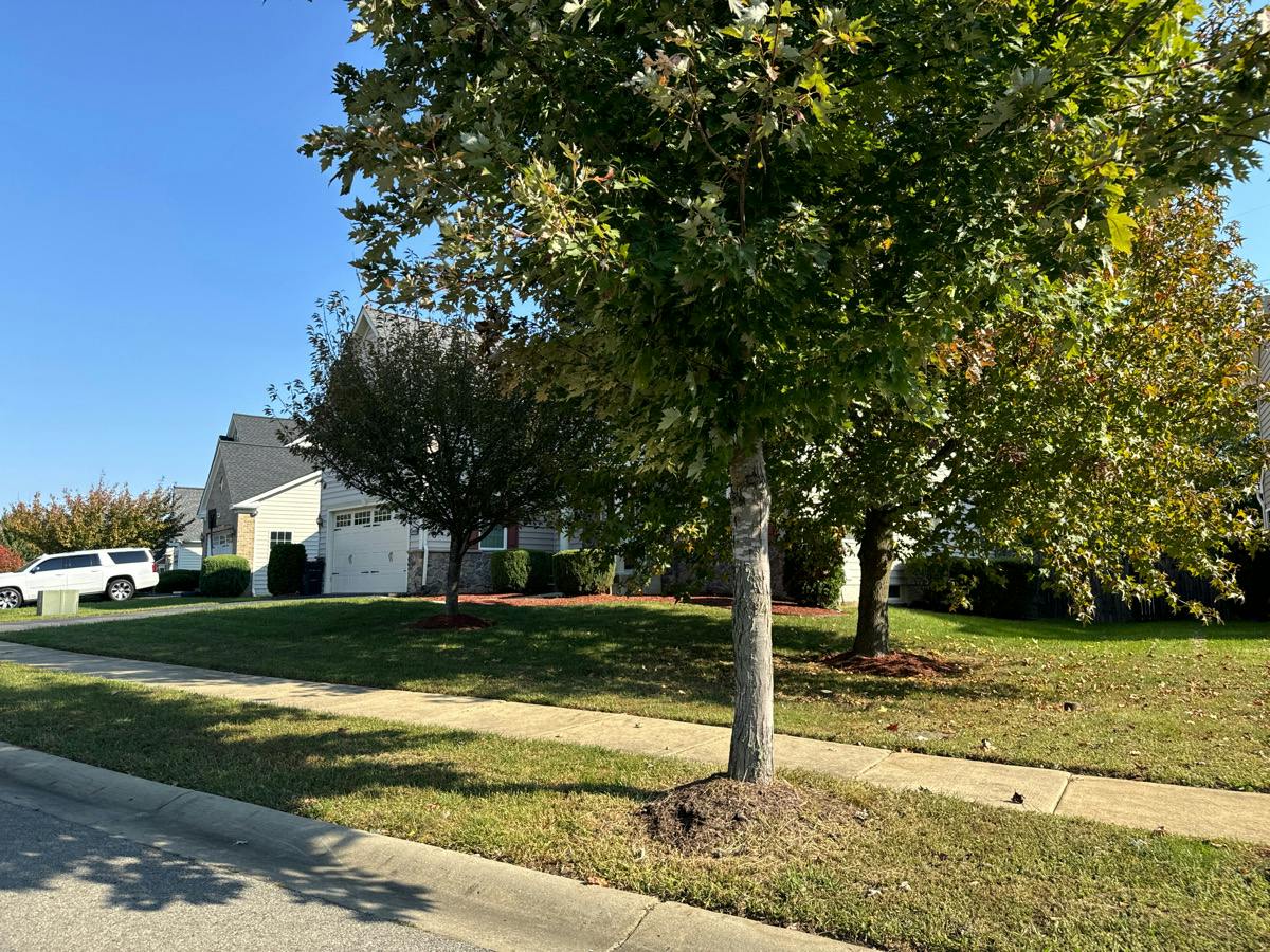 Linden Grove Dr, Waldorf, MD 20603 #1