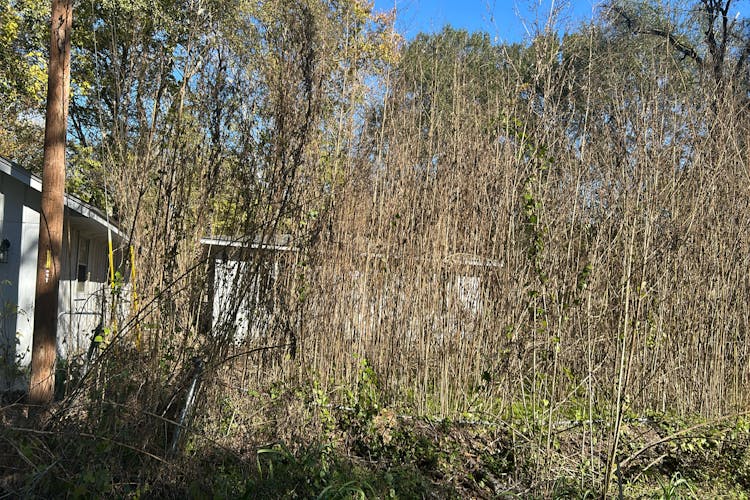 48 Tejas Dr Huntsville, TX 77320, Walker County