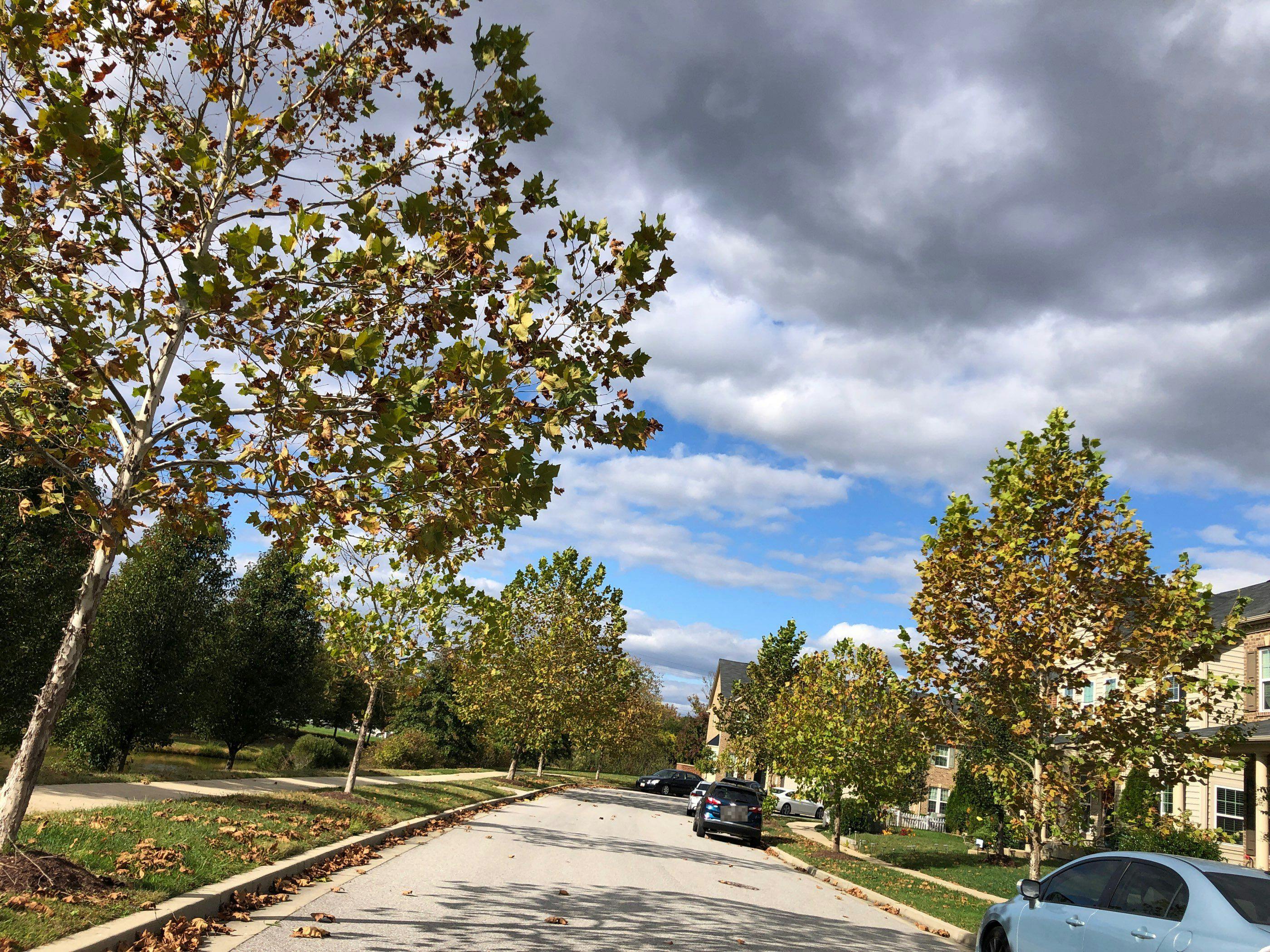 Baileys Pond Rd, Accokeek, MD 20607